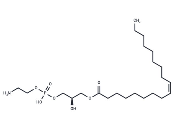 PE(18:1(9Z)/0:0)