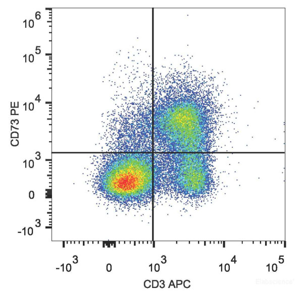 Anti-Mouse CD73 (PE Conjugated)[TY/23], clone TY/23