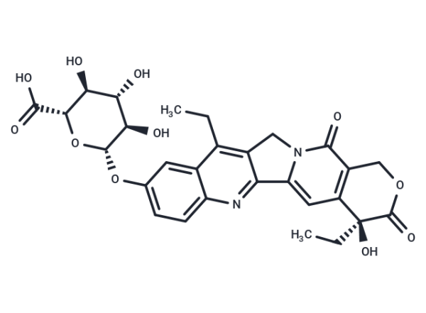 SN-38 glucuronide