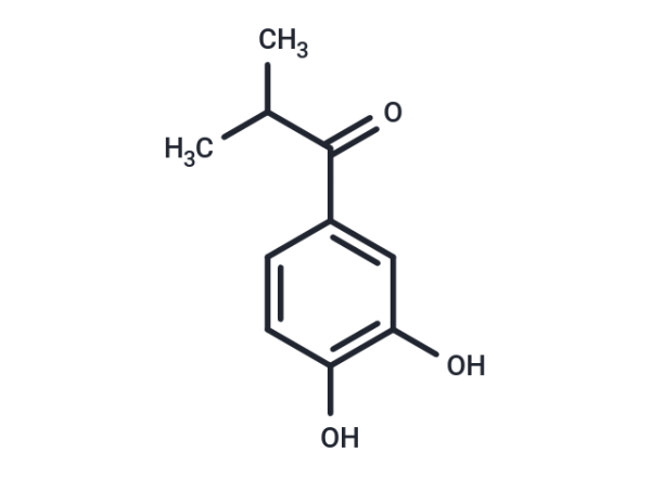 U-0521