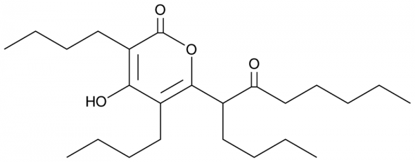 Elasnin