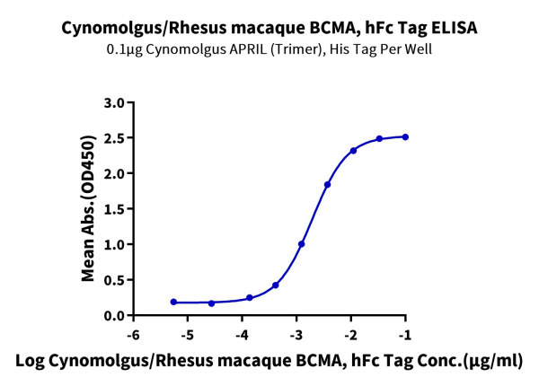 Cynomolgus/Rhesus macaque BCMA/TNFRSF17 Protein