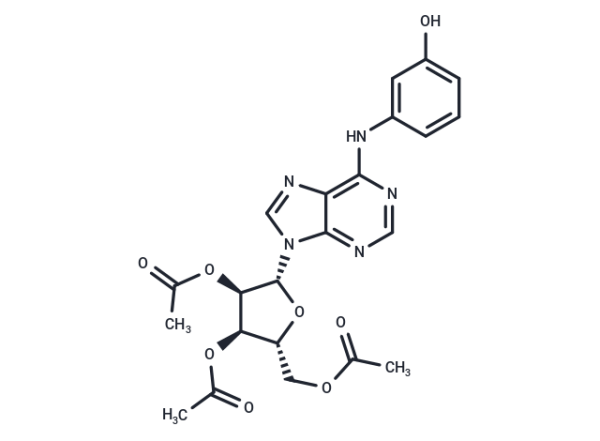 IMM-H007