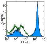 Anti-CD19, clone 1D3 (PE )