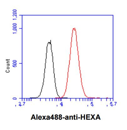 Anti-HEXA, clone 20F1