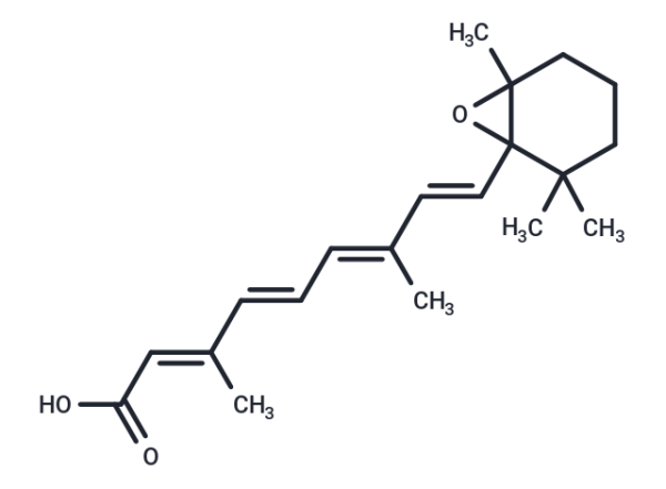 all-trans-5,6-epoxy Retinoic Acid