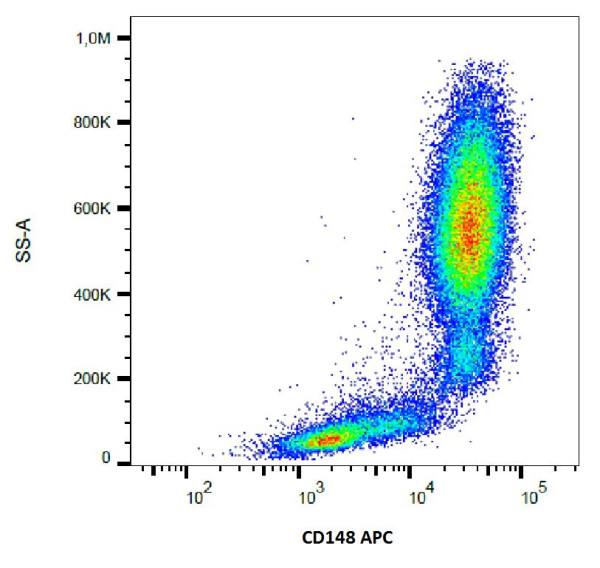 Anti-CD148, clone MEM-CD148/05 (APC)