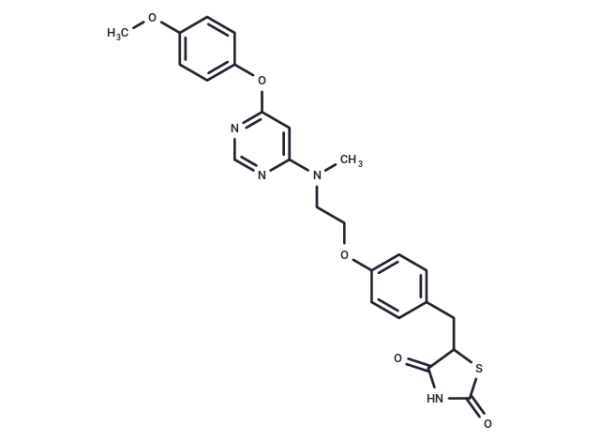 Lobeglitazone