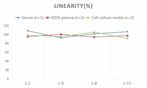 Human F11 (Coagulation Factor XI) CLIA Kit