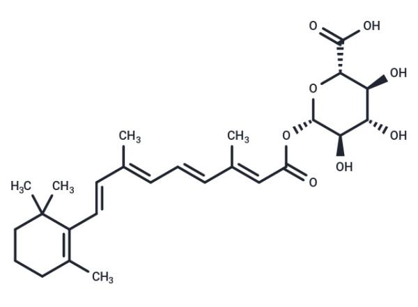 all-trans Retinoyl beta-D-Glucuronide