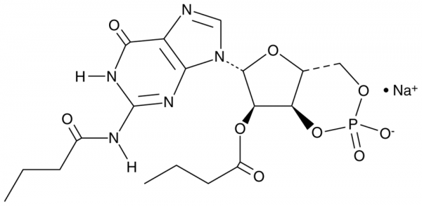 Dibutyryl-Cyclic GMP (sodium salt)