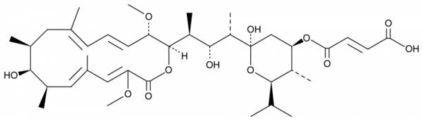 Bafilomycin C1