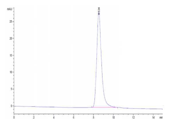 Mouse CD39/ENTPD1 Protein