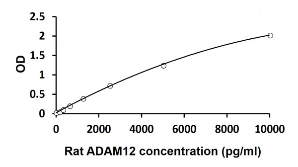 Rat ADAM12 ELISA Kit