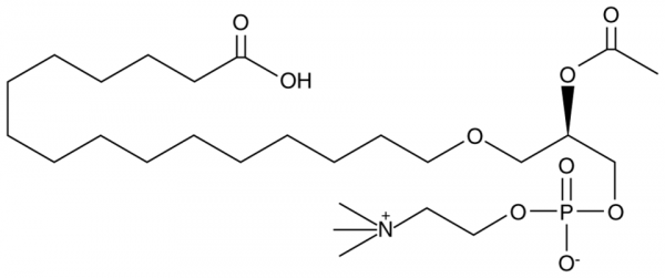 PAF C-16 Carboxylic Acid