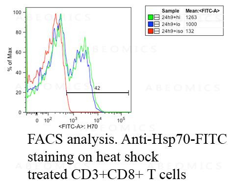 Anti-HSP70 Monoclonal Antibody (Clone: C92F3A-5) - FITC