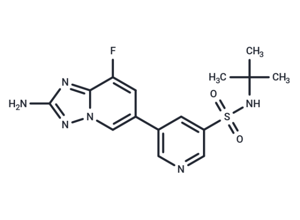 CZC24832