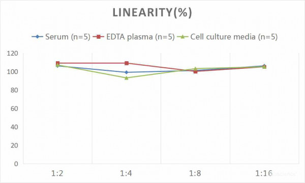 Human RANTES (Regulated On Activation, Normal T-Cell Expressed and Secreted) CLIA Kit