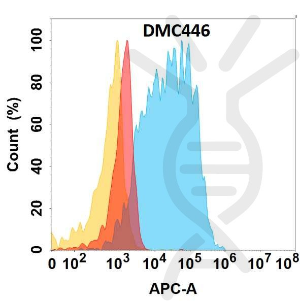 Anti-CD117 antibody(DMC446), IgG1 Chimeric mAb