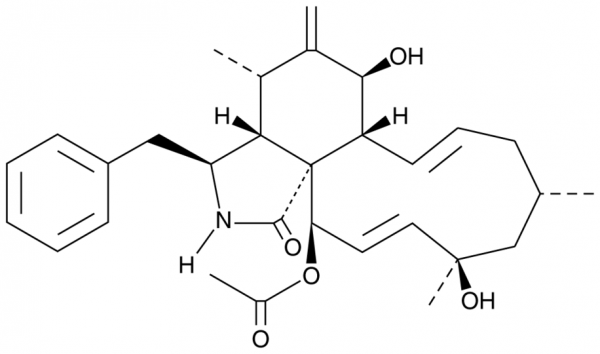 Cytochalasin H