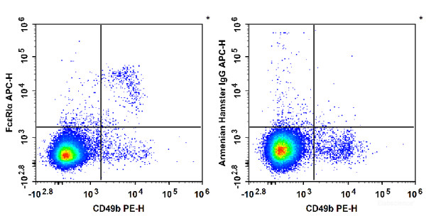 Anti-Mouse FcepsilonRIalpha, APC conjugated, clone MAR-1