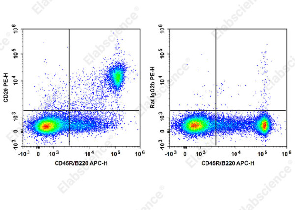 Anti-CD20, clone SA271G2, Phycoerythrin conjugated