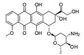 Doxorubicin (Adriamycin, 14-Hydroxydaunomycin, Adriacin, Adriblastin, Caelyx, Dox, Doxil, Farmiblast