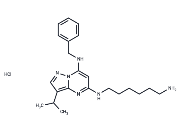 BS-181 hydrochloride