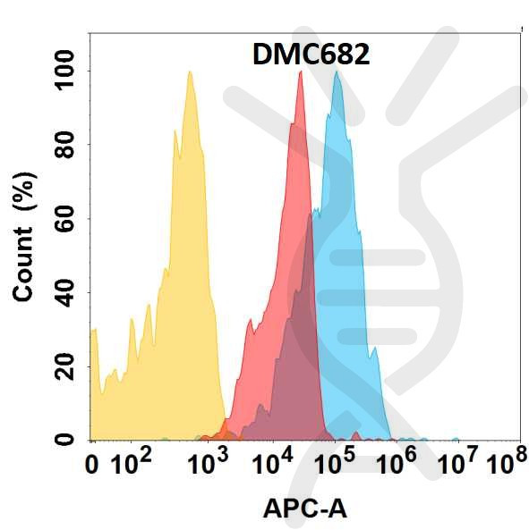 Anti-CD166 antibody(DMC682), IgG1 Chimeric mAb