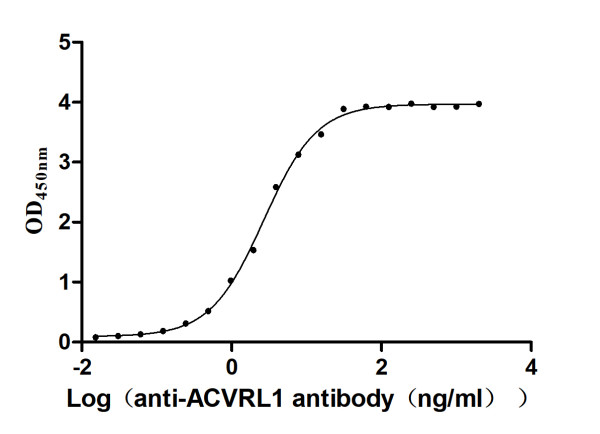 Anti-ACVRL1 Recombinant Monoclonal, clone 6G7