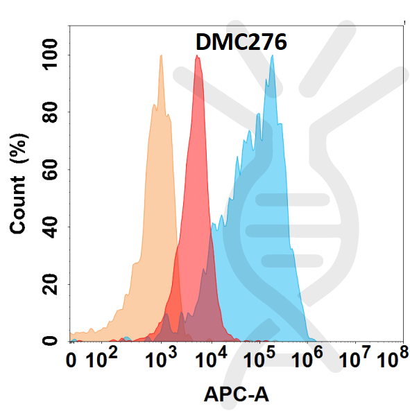 Anti-VEGFA antibody(DMC276), IgG1 Chimeric mAb