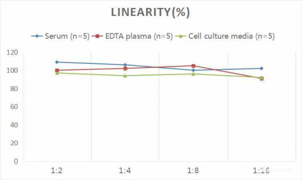 Rat NT-proBNP (N-Terminal Pro-Brain Natriuretic Peptide) CLIA Kit