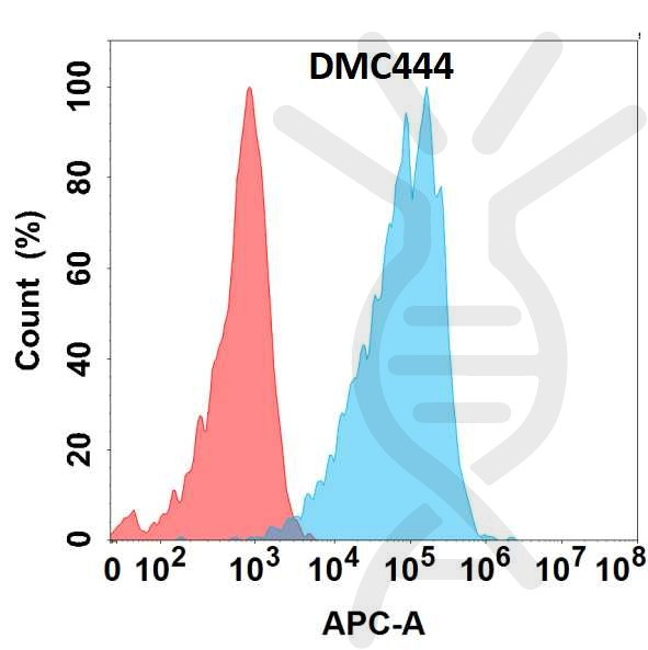 Anti-BST1 antibody(DMC444), IgG1 Chimeric mAb