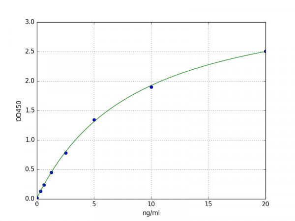 Human Arachidonate 15-lipoxygenase B / ALOX15B ELISA Kit