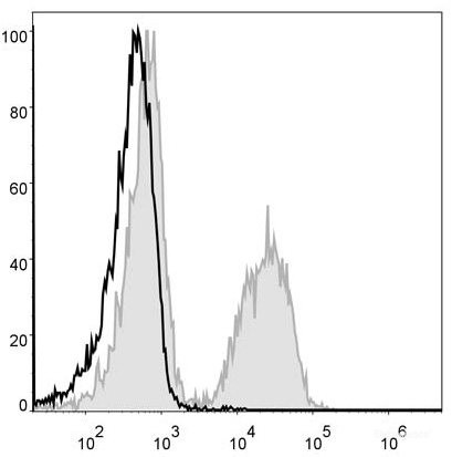 PE Anti-Mouse CD19 Antibody[1D3]