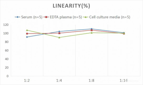 Human VEGF-C (Vascular Endothelial Growth Factor C) CLIA Kit