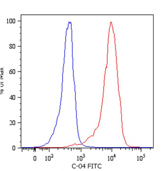 Anti-Cytokeratin 18, clone C-04 (FITC)