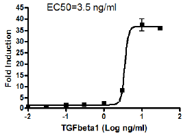 TGFbeta/Activin A-Responsive Luciferase Reporter HEK293 Cell Line