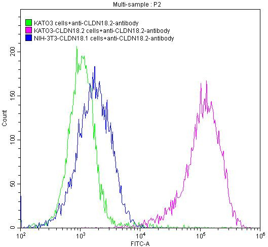 Anti-Claudin-18.2 Recombinant Monoclonal, clone 9C2