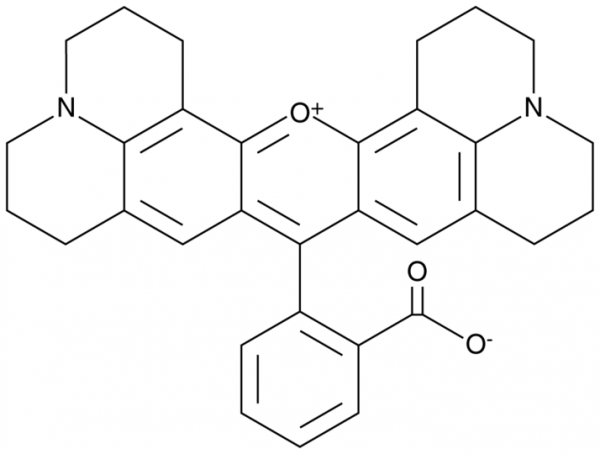 Rhodamine 101 (inner salt)