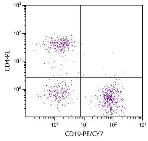 Anti-CD19 (PE-Cy7), clone 6D5