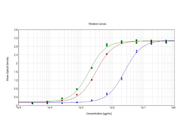 Anti-SARS-CoV-2 Nucleocapsid (N) Protein