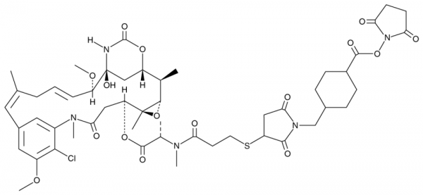 DM1-SMCC