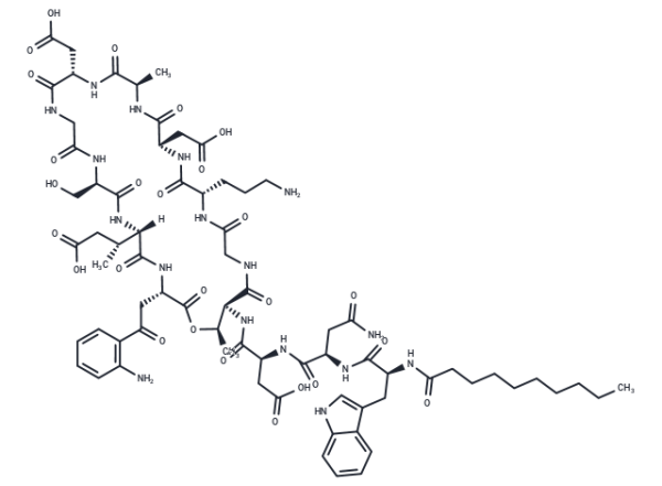 Daptomycin