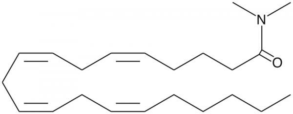 Arachidonoyl-N,N-dimethyl amide