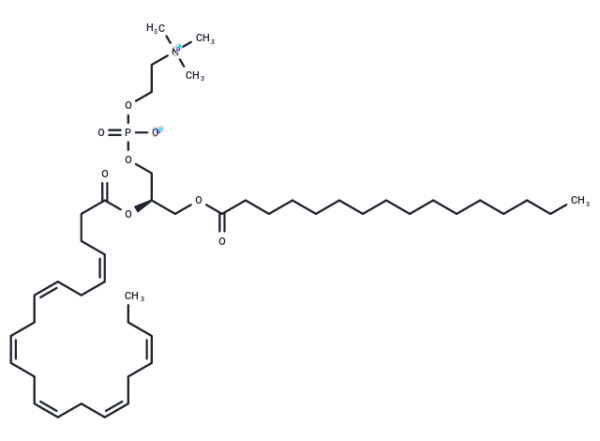 Palmitoyldocosahexaenoyl phosphatidylcholine