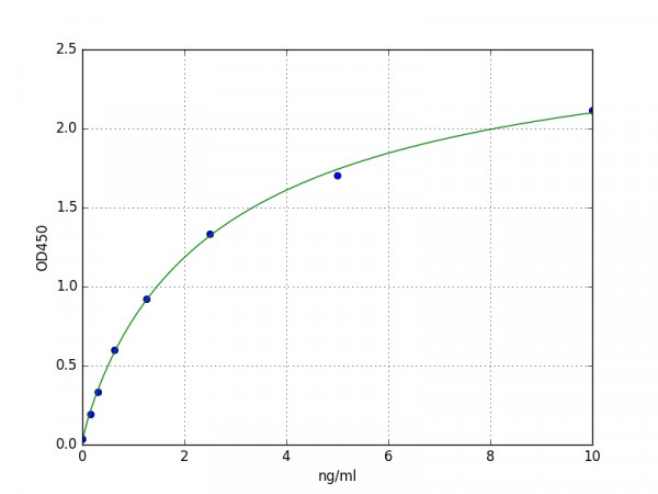 Human nNOS ELISA Kit