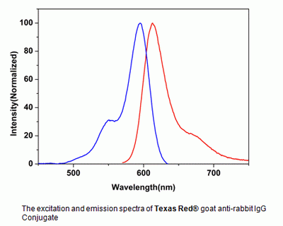 Texas Red(R) goat anti-rabbit IgG (H+L)