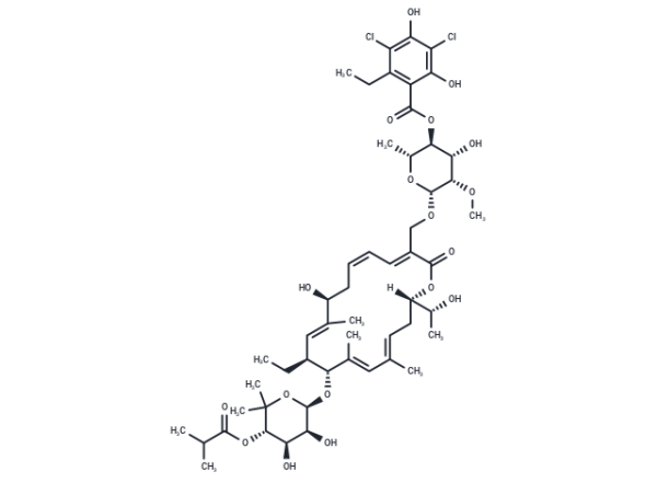 Fidaxomicin