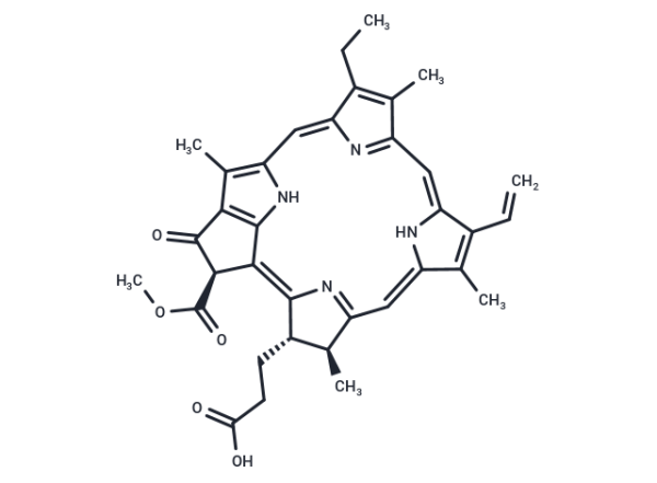 Pheophorbide a